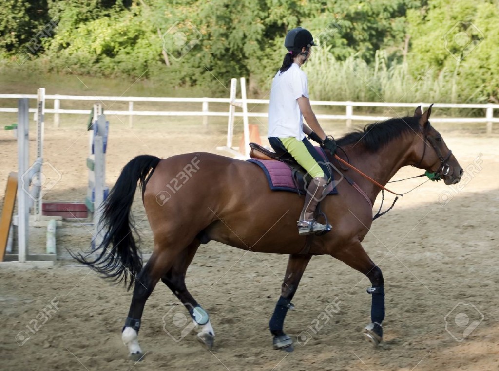 18055531-raza-riding-Foto-de-archivo